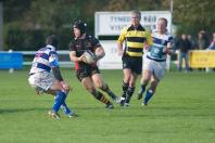 Tynedale v Bees