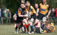 Bees v Luctonians