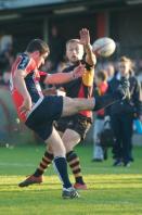 Bees v Macclesfield
