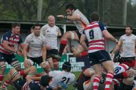 Rosslyn Park v Bees