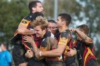Bees v Hull