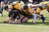 Bees v Esher (po)