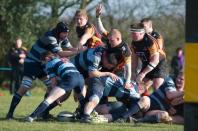 Bees v Dudley K