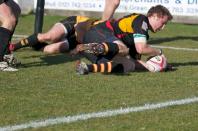 Bees v Esher (po)