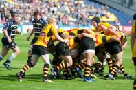 Worcester v Bees