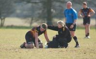 Bees v Luctonians