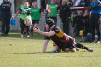 Bees v Esher (po)