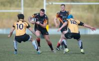 Bees v Luctonians