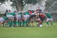 wharfedale v bees