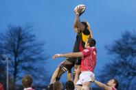 Bees v London Welsh
