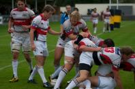 Bees v Plymouth