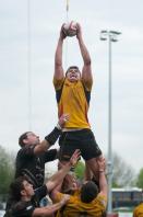 Esher v Bees (po)