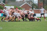Fylde v Bees