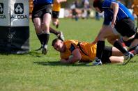 Bees v Otley