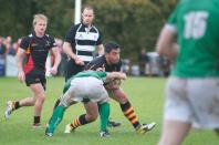 wharfedale v bees