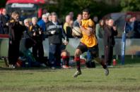 Bees v Westoe
