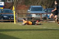 Hull v Bees