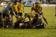 Bees v Pontypridd
