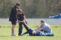 Bees v Otley