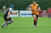 Luctonians v Bees