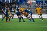 Bristol v Bees