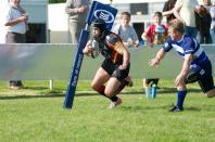 Bees v Darlington MP