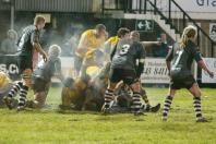 Bees v Pontypridd