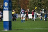 Tynedale v Bees