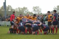 Bees v Westoe