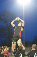 Bees v Jersey