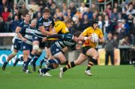 Bristol v Bees