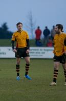 Moseley v Bees