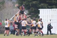 Caldy v Bees