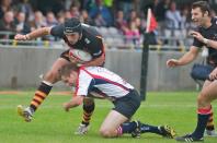 Bees v Stourbridge