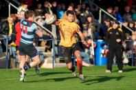 Dudley K v Bees