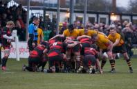 Moseley v Bees