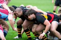 Rotherham v Bees