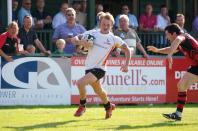 jersey v bees