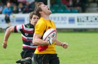 Cornish Pirates v Bees