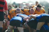 Bees v Otley