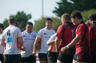 jersey v bees