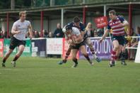 Rosslyn Park v Bees