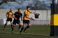 Bees v Esher (po)