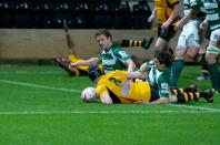 Nottingham v Bees