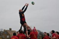 Cambridge v Bees