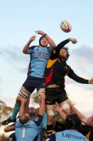 Birmingham & Solihull v Bedford Blues