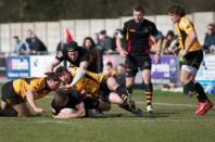Bees v Esher (po)