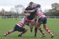 Bees v Rosslyn Park