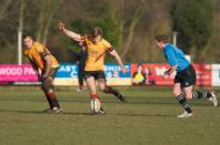 Hull v Bees