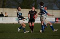 Bees v Tynedale